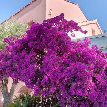 Les Bonnes Herbes --- Rez-de-villa * Toulon
